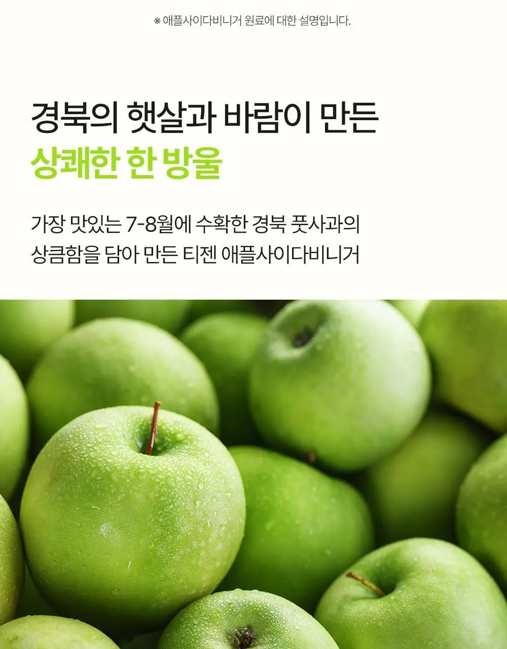 [대용량 골라담기] 티젠 애사비소다 오리지널 500ml (6병/12병/24병) 상세페이지 11